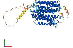 AlphaFold protein structure predicition of Human Recombinant SLC29A2 Protein, UniprotID Q14542