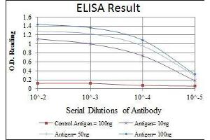 Red: Control Antigen (100 ng), Purple: Antigen (10 ng), Green: Antigen (50 ng), Blue: Antigen (100 ng), (ATF2 antibody)