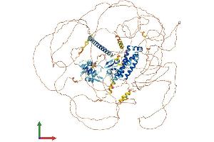 Protein Structure (PS) image for Synergin gamma (SYNRG) (AA 1-1314) protein (His tag) (ABIN7555676)