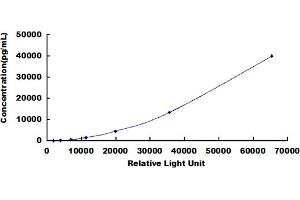 Typical standard curve (Lactoferrin CLIA Kit)