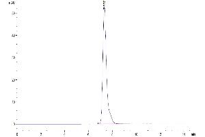 The purity of Human TNFR1 is greater than 95 % as determined by SEC-HPLC. (TNFRSF1A Protein (AA 30-211) (Fc Tag))