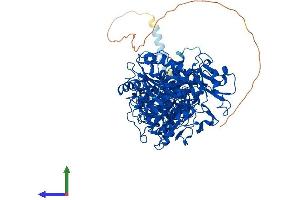 Protein Structure (PS) image for Ectonucleotide Pyrophosphatase/phosphodiesterase 1 (ENPP1) (AA 1-925) protein (His tag) (ABIN7553820)