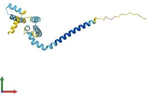 Protein Structure (PS) image for Receptor Accessory Protein 6 (REEP6) (AA 1-201) protein (His tag) (ABIN7561694)