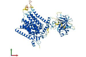 Protein Structure (PS) image for Protein-O-Mannosyltransferase 1 (POMT1) (AA 1-747) protein (His tag) (ABIN7555015)