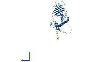 AlphaFold protein structure predicition of Mouse Recombinant Trim7 Protein, UniprotID Q923T7 (TRIM7 Protein (AA 1-510) (His tag))