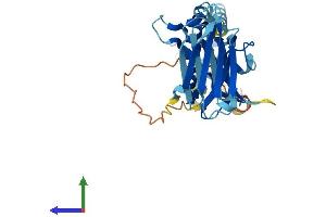 Protein Structure (PS) image for PIH1 Domain Containing 2 (PIH1D2) (AA 1-315) protein (His tag) (ABIN7550758)