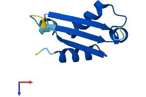 AlphaFold protein structure predicition of Mouse Recombinant Bola2 Protein, UniprotID Q8BGS2