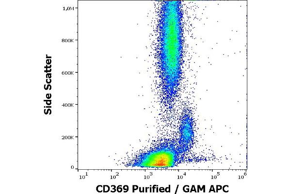 CLEC7A antibody