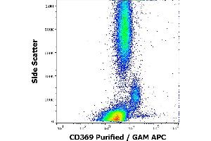 Flow cytometry surface staining pattern of human peripheral whole blood stained using anti-human CD369 (15E2) purified antibody (concentration in sample 1,7 μg/mL, GAM APC). (CLEC7A antibody)