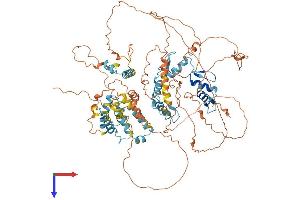 AlphaFold protein structure predicition of Mouse Recombinant Nrif2 Protein, UniprotID Q921B4 (Zfp369/Nrif2 Protein (AA 1-824) (His tag))