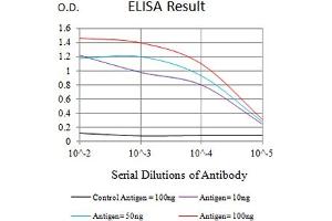 Black line: Control Antigen (100 ng),Purple line: Antigen (10 ng), Blue line: Antigen (50 ng), Red line:Antigen (100 ng) (LRP3 antibody  (AA 43-184))