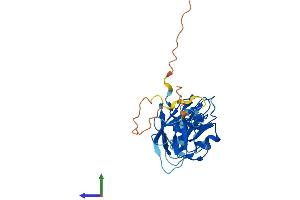 AlphaFold protein structure predicition of Human Recombinant NEURL3 Protein, UniprotID Q96EH8 (NEURL3 Protein (AA 1-262) (His tag))