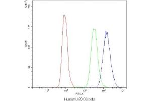 Flow cytometry testing of human U-2 OS cells with NFAT4 antibody at 1ug/10^6 cells (blocked with goat sera) (NFATC3 antibody)