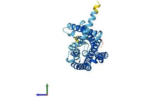 AlphaFold protein structure predicition of Human Recombinant OR2AG2 Protein, UniprotID A6NM03 (OR2AG2 Protein (AA 1-316) (His tag))