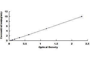 Typical standard curve (MARCKS ELISA Kit)