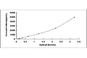 Typical standard curve (KRT17 ELISA Kit)