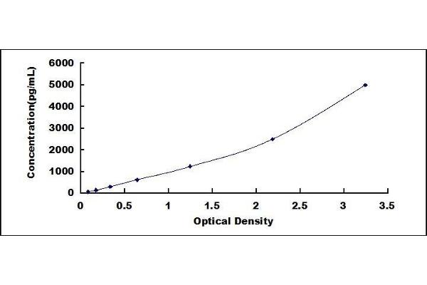 KRT17 ELISA Kit