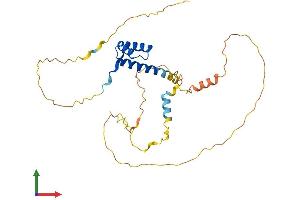 Protein Structure (PS) image for Pituitary Homeobox 3 (PITX3) (AA 1-302) protein (His tag) (ABIN7562273)