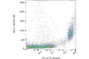 Flow cytometry analysis (surface staining) of CD11b in murine peritoneal fluid with anti-CD11b (M1/70) PE. (CD11b antibody  (PE))