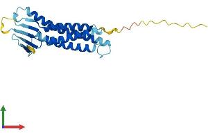 AlphaFold protein structure predicition of Mouse Recombinant Cldn4 Protein, UniprotID O35054 (Claudin 4 Protein (CLDN4) (AA 1-210) (His tag))