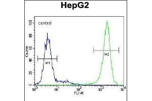 Flow cytometric analysis of HepG2 cells (right histogram) compared to a negative control cell (left histogram). (TIGD3 antibody  (C-Term))