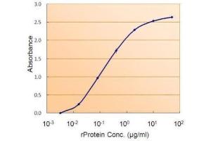 AP26003PU-N SMAD9 antibody (1. (SMAD9 antibody  (Internal Region))