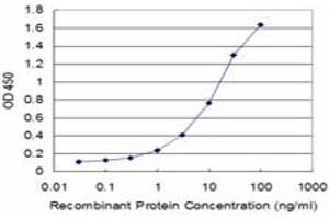 Detection limit for recombinant GST tagged USP9X is approximately 0. (USP9X antibody  (AA 1-90))