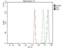 Flow Cytometry analysis of HepG2 cells using anti-RIN1 antibody (ABIN7602432). (RIN1 antibody  (AA 76-669))