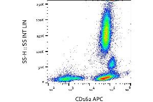 Surface staining of human peripheral blood cells with anti-human CD162 (clone TC2) APC. (SELPLG antibody  (APC))