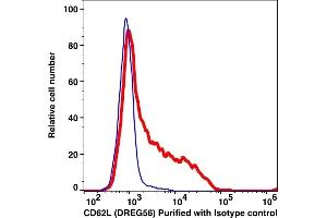 Flow Cytometry (FACS) image for anti-Selectin L (SELL) antibody (ABIN2704307) (L-Selectin antibody)