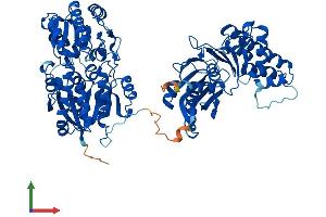 AlphaFold protein structure predicition of Human Recombinant GNE Protein, UniprotID Q9Y223