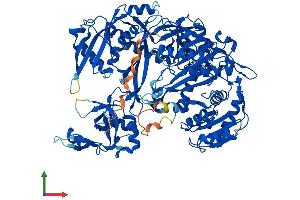 Protein Structure (PS) image for Argonaute 2 (AGO2) (AA 1-859) protein (His tag) (ABIN7552072)