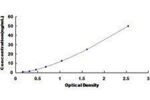 Cubilin (Intrinsic Factor-Cobalamin Receptor) (CUBN) ELISA Kit