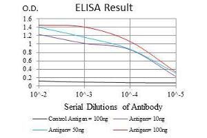 Black line: Control Antigen (100 ng), Purple line: Antigen(10 ng), Blue line: Antigen (50 ng), Red line: Antigen (100 ng), (PHC1 antibody  (AA 758-1004))