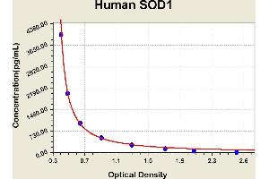 Superoxide Dismutase 1, Soluble (SOD1) ELISA Kit