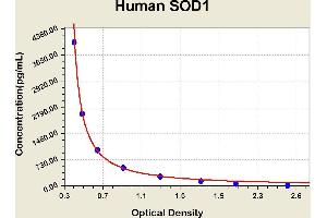 Diagramm of the ELISA kit to detect Human SOD1with the optical density on the x-axis and the concentration on the y-axis.