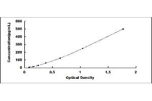 Typical standard curve (SCG5 ELISA Kit)