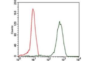 Flow Cytometry (FACS) image for anti-Eukaryotic Translation Initiation Factor 4B (EIF4B) antibody (ABIN1107074) (EIF4B antibody)