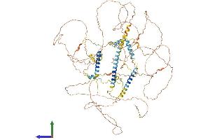 AlphaFold protein structure predicition of Human Recombinant ETAA1 Protein, UniprotID Q9NY74 (ETAA1 Protein (AA 1-926) (His tag))