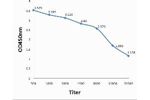 Antigen: 0. (Prostaglandin E Synthase antibody  (AA 85-152))
