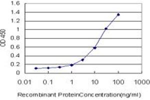 Detection limit for recombinant GST tagged ADAMTS8 is approximately 0. (ADAMTS8 antibody  (AA 781-890))