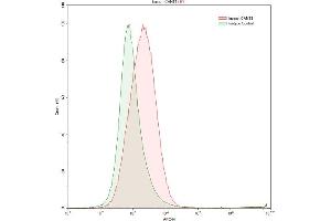 Detection of CANT1 in K562 human chronic myelogenous leukemia cell line using Anti-Calcium Activated Nucleotidase 1 (CANT1) Polyclonal Antibody (CANT1 antibody  (AA 107-400))