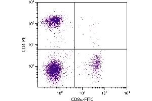 BALB/c mouse splenocytes were stained with Rat Anti-Mouse CD4-PE and Rat Anti-Mouse CD8α-FITC. (CD4 antibody  (PE))