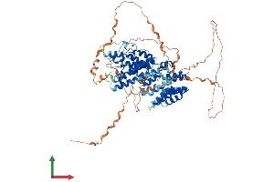 AlphaFold protein structure predicition of Human Recombinant TRAPPC12 Protein, UniprotID Q8WVT3 (TTC15 Protein (AA 1-735) (His tag))