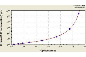 Typical Standard Curve (CMA1 ELISA Kit)