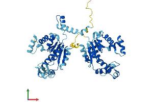 Protein Structure (PS) image for Adenylate Kinase 8 (AK8) (AA 1-479) protein (His tag) (ABIN7557022)