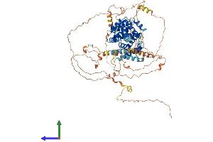 Protein Structure (PS) image for TBC1 Domain Family, Member 30 (TBC1D30) (AA 1-766) protein (His tag) (ABIN7557893)