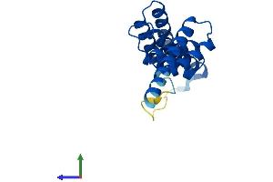 Protein Structure (PS) image for Tetratricopeptide Repeat Domain 9C (TTC9C) (AA 1-171) protein (His tag) (ABIN7544886)