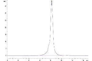 The purity of Human IL-27RA is greater than 95 % as determined by SEC-HPLC.