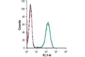 Cell surface detection of CD39 in live intact human THP-1 monocytic leukemia cells: (black line) Cells. (CD39 antibody  (Extracellular Loop))